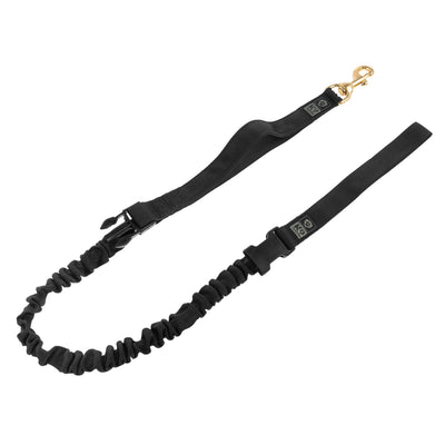 Dog Leads