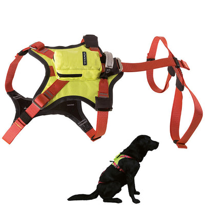 Full Body Harnesses