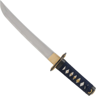 Tachi