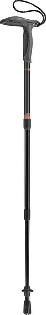 Trekking Poles
