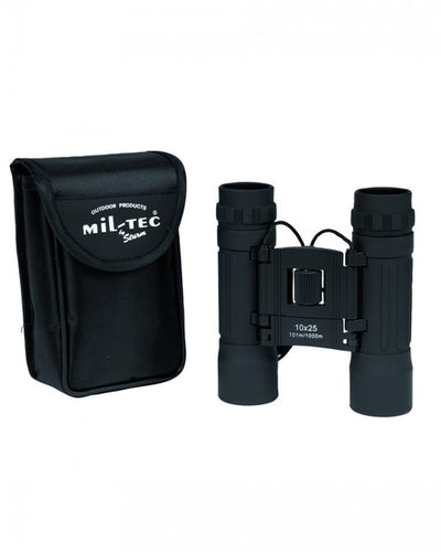 Binocular Telescopes