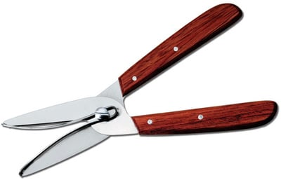 Garden Scissors