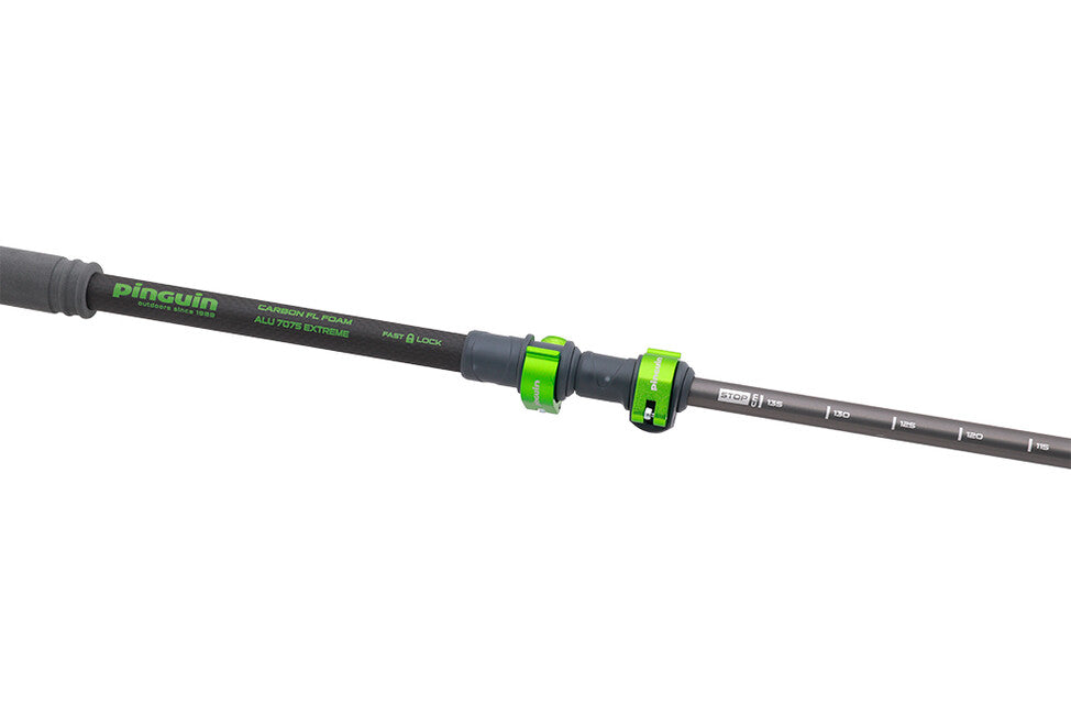 Pinguin Compact FL Trekking Poles, Grey