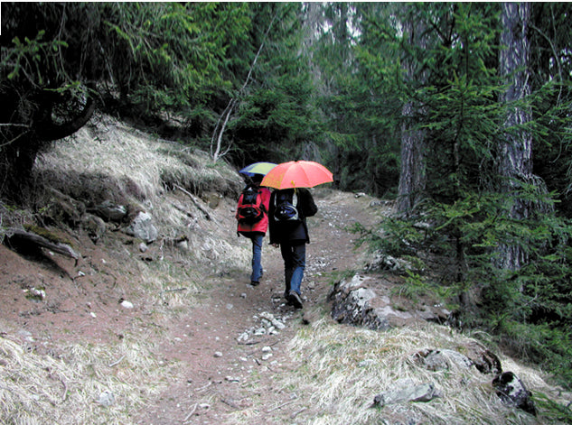 EuroSchirm Light Trek Automatic Ultra-Light Travel Umbrella TrekMate Black