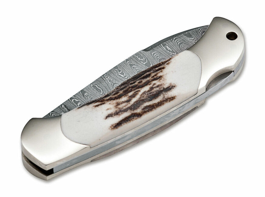 Boker Pocket Knife Junior Scout Spearpoint 7 cm, Damascus, Horn
