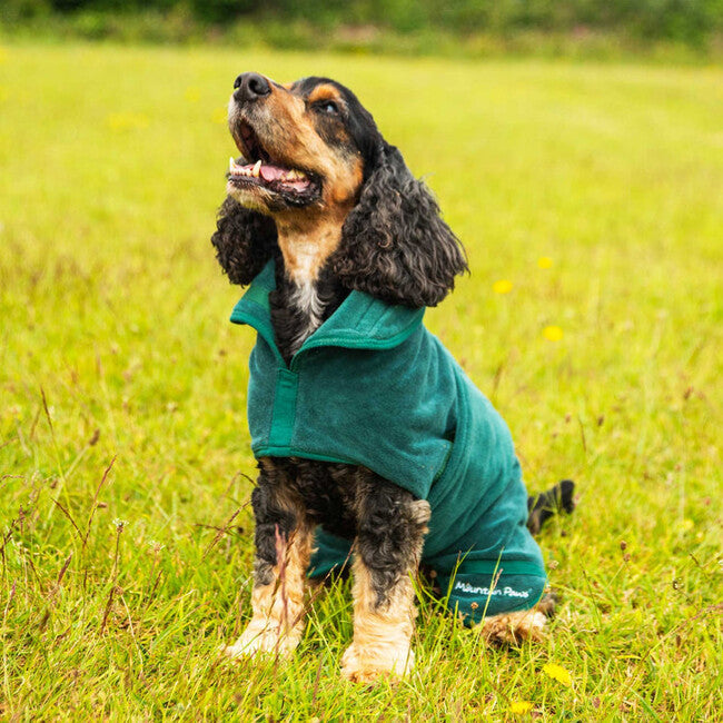 Mountain Paws Dog Robes Small, Green