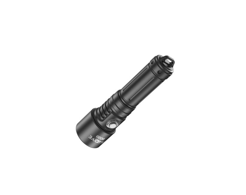 Bludive BD20 Diving Light, Black