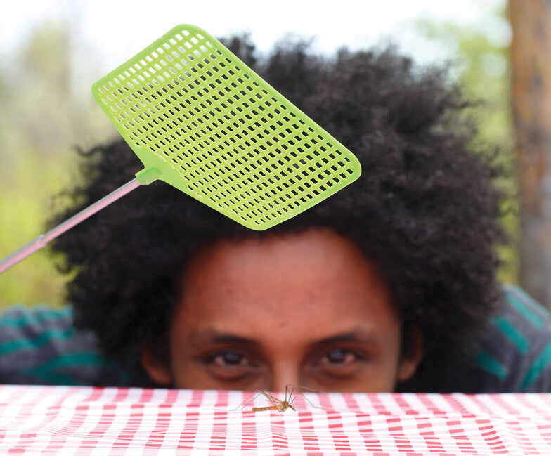 Coghlans CL Telescopic Fly Swatter