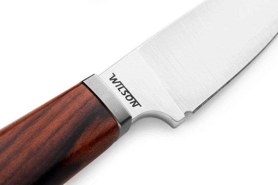 Lionsteel WILLY WL1 ST Fixed Blade Knife, Santos Wood Handle