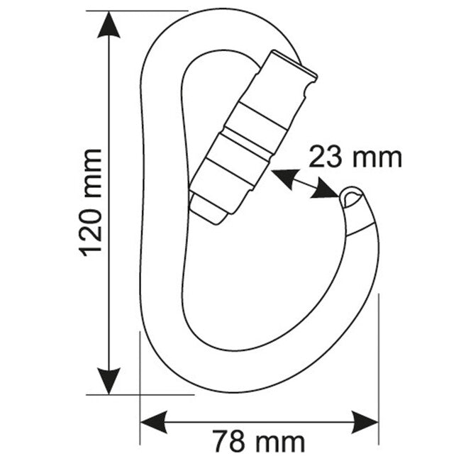 CAMP Atom 2Lock Carabiner