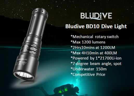 Bludive BD10 Diving Light, Black
