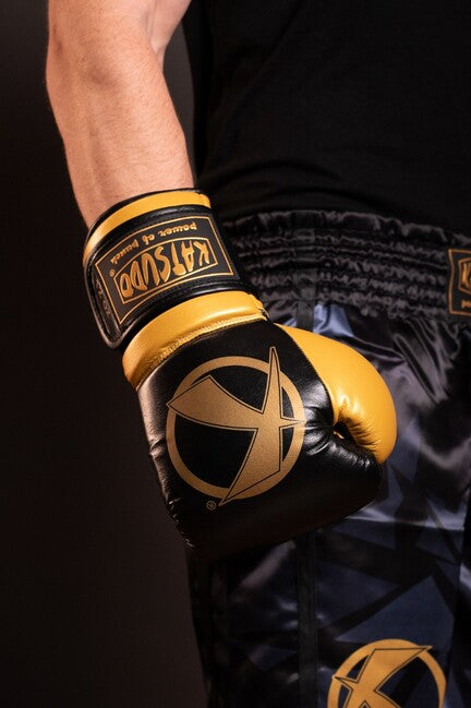 Katsudo Fight Boxing Gloves, Black/Gold
