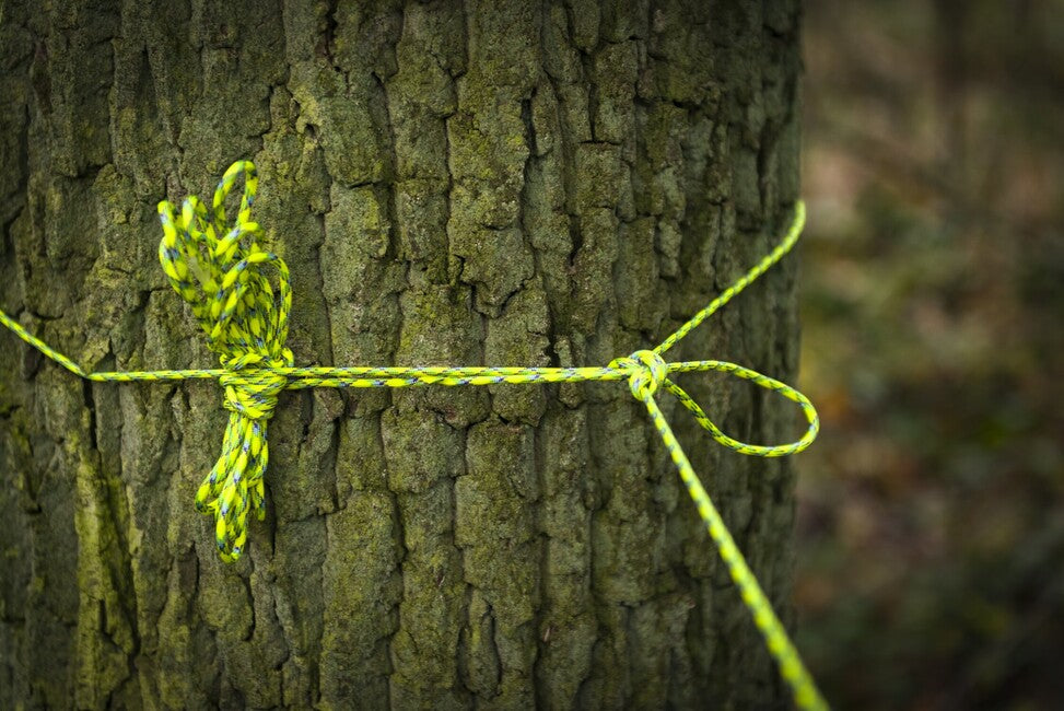 ATWOOD 550 Paracord Rope (100 feet) - Multi-Cam 55024