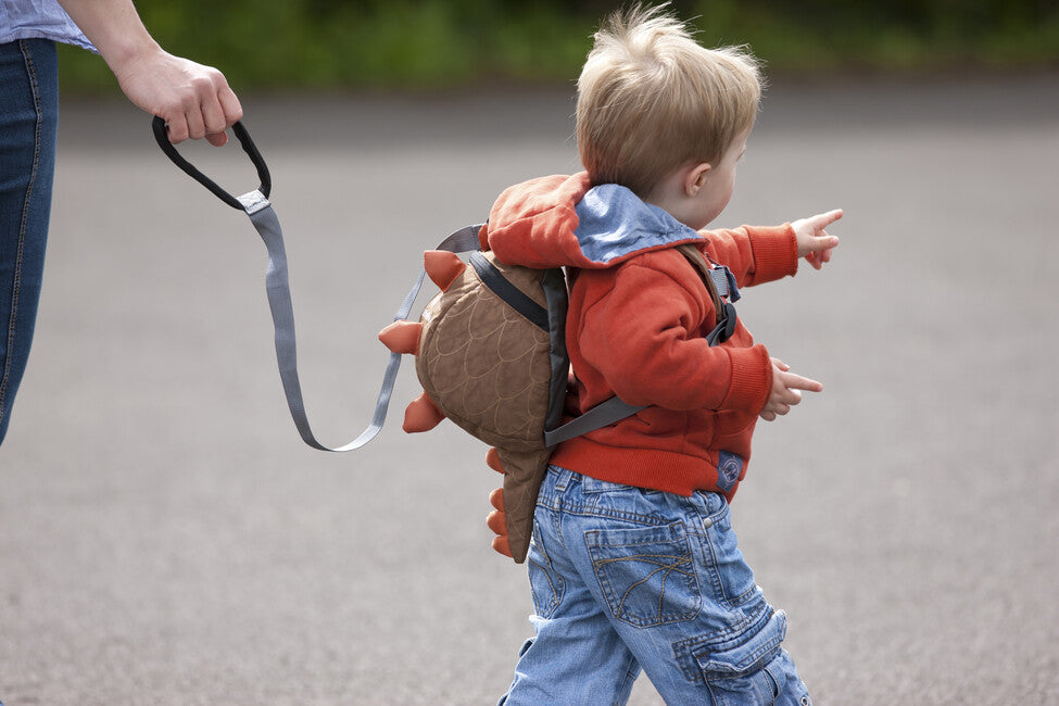 LittleLife Child Harness