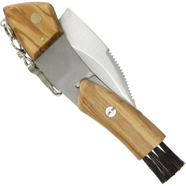 Maserin Pilz Mushroom Folding Knife, Olive Wood