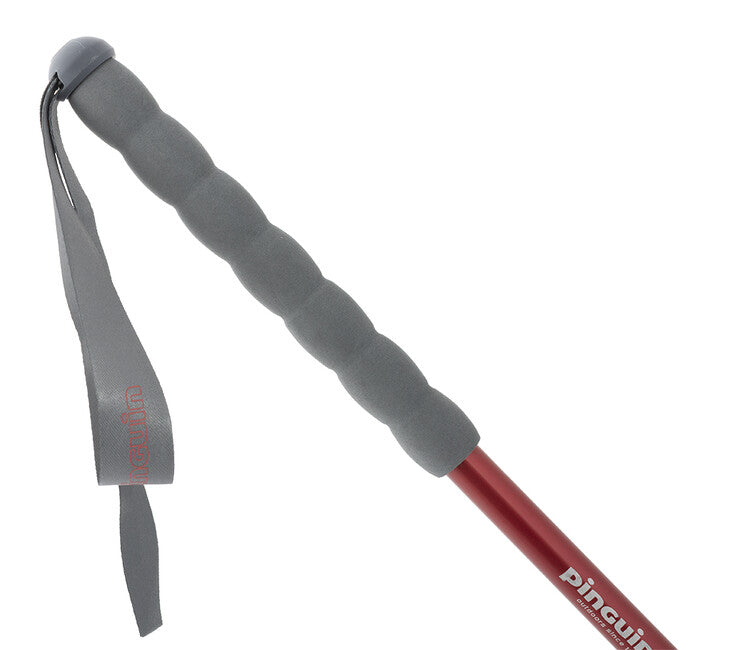 Pinguin Fastrail TL Foam Trekking Poles, Petrol