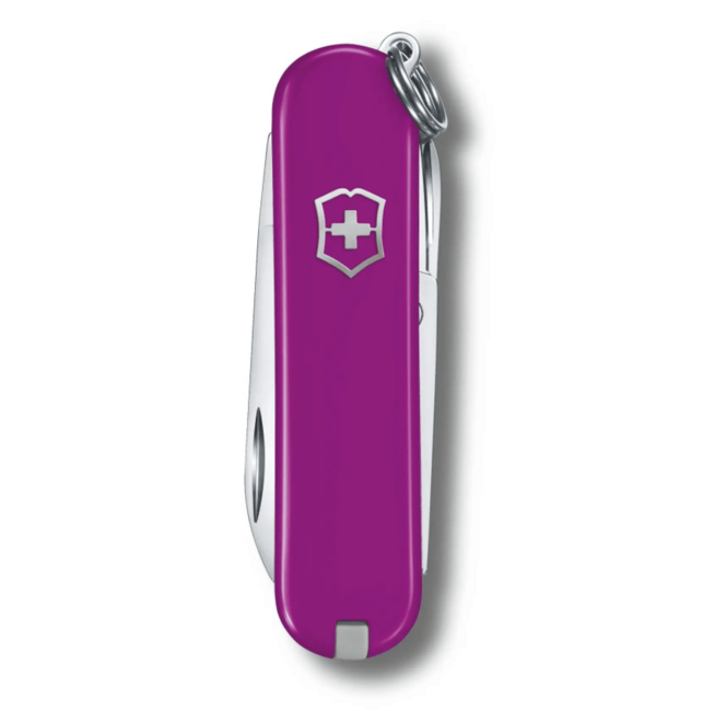 Victorinox Classic SD Colors Tasty Grape Multitool, Dark Purple Knife, 7 Functions