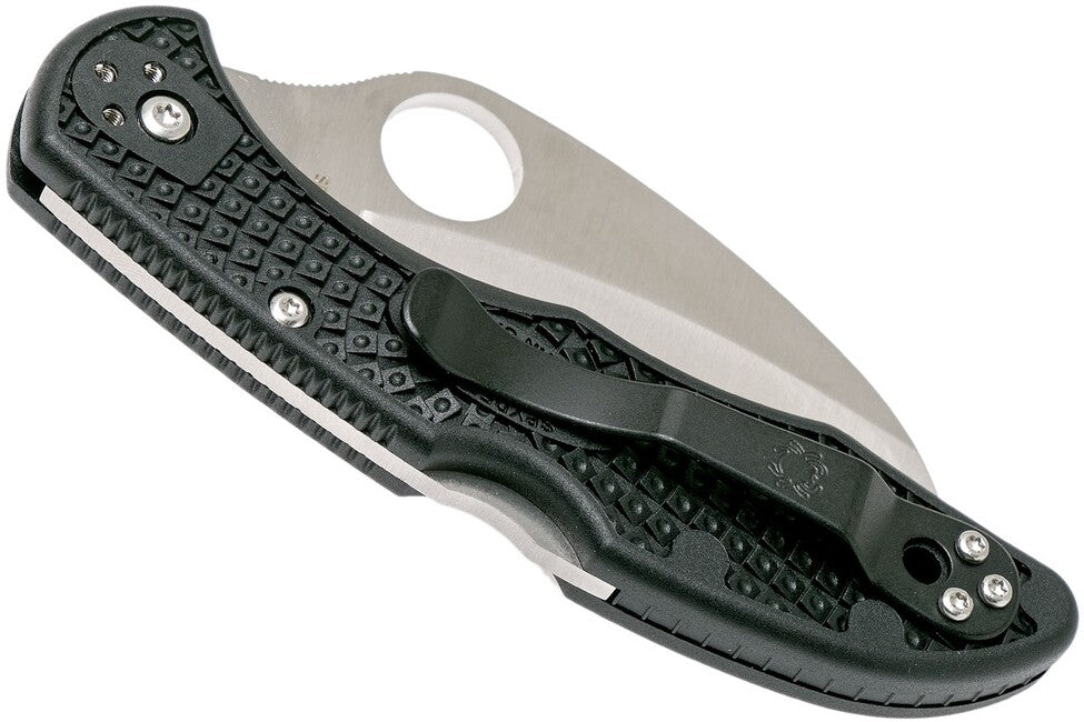Spyderco Tasman Salt 2 Folding Knife, Black, FRN, 7.4cm