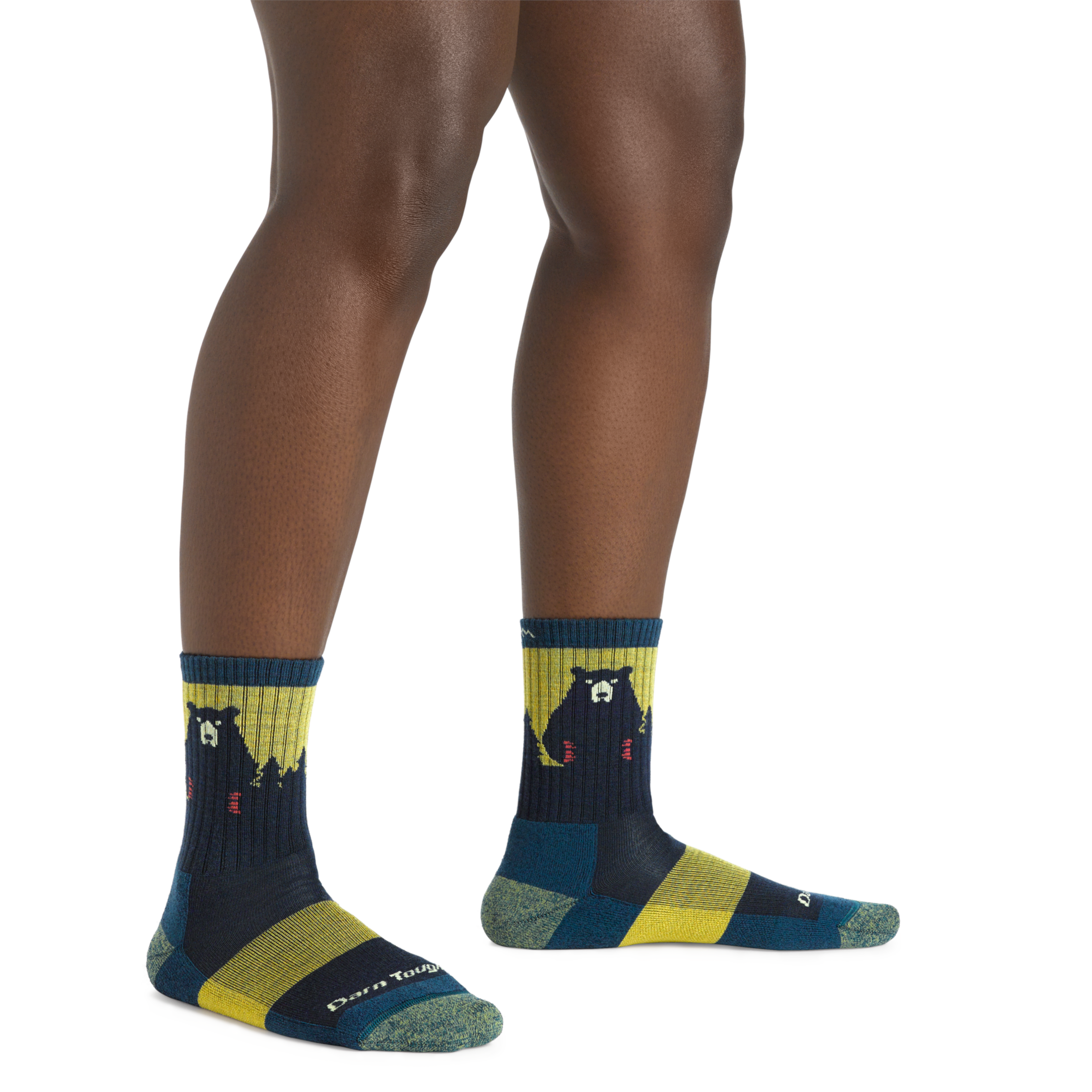 Darn Tough Bear Town Micro Crew hiking socks with cushioning, Dark Teal