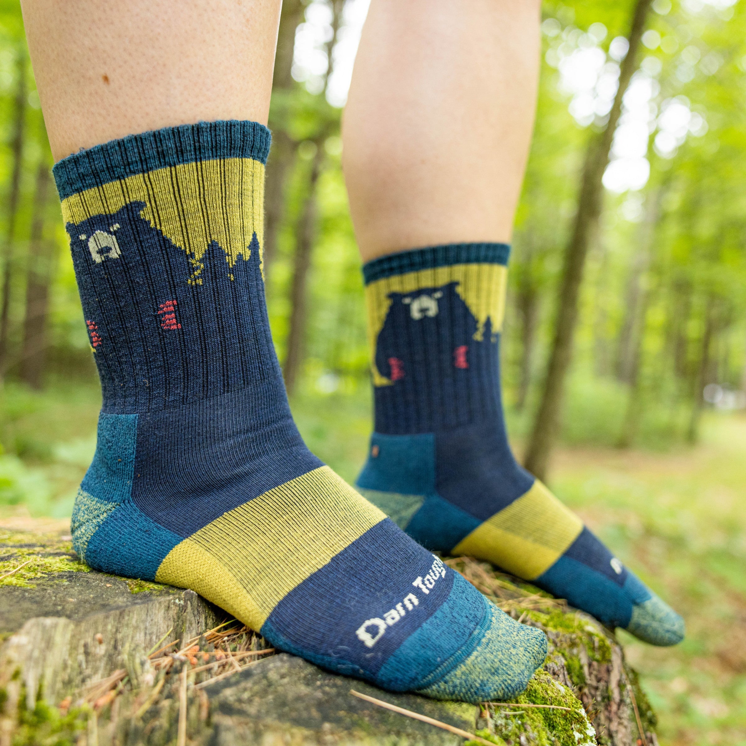 Darn Tough Bear Town Micro Crew hiking socks with cushioning, Dark Teal