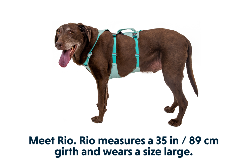 Ruffwear Flagline Harness, Sage Green