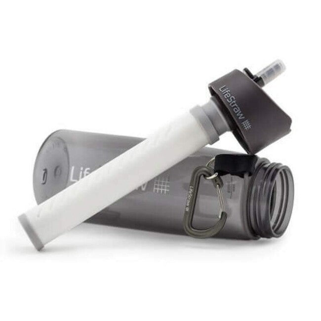 Lifestraw Go Bottle 650ml, Gray