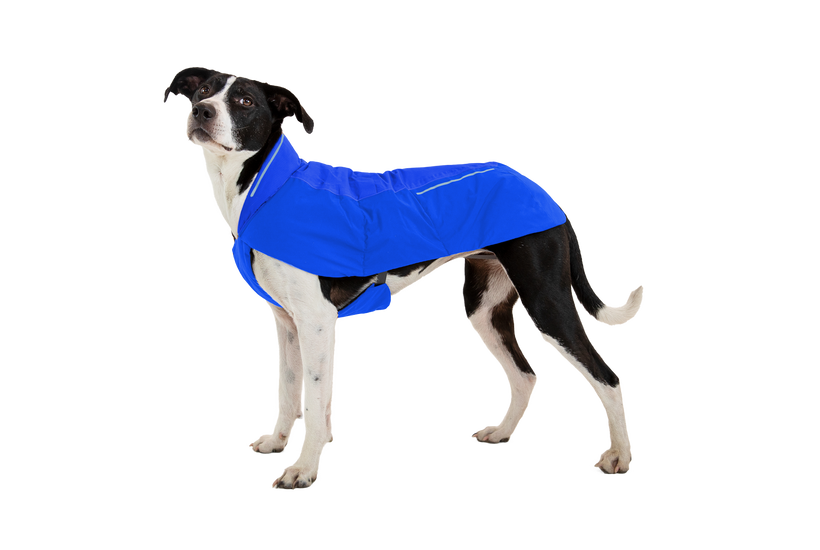 Ruffwear Vert Dog Jacket, Blue Pool
