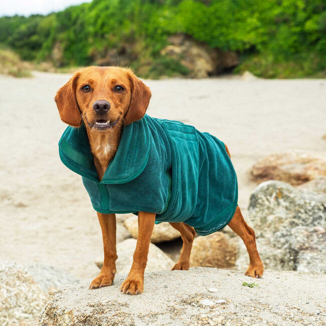 Mountain Paws Dog Robes, Green, Medium