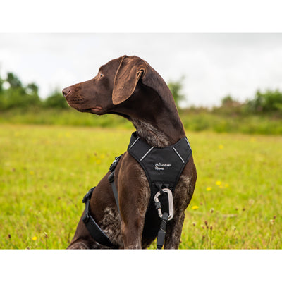 Mountain Paws Animal Harness, Medium