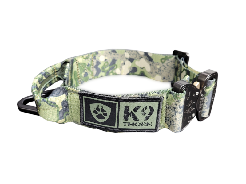 K9 Thorn Cobra-Bravo Collar 45mm, Panther