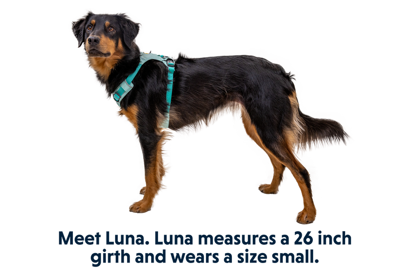 Ruffwear Hi & Light Harness, Sage Green