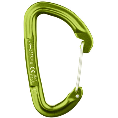 Salewa Hot G3 Carabiner, Green