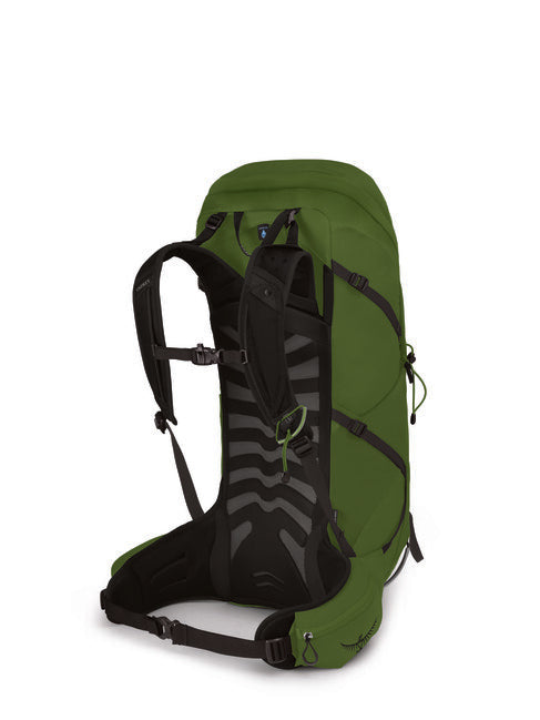 Osprey Talon 36 Backpack, Green Belt/Black