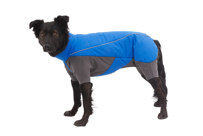 Ruffwear Vert Dog Overall, Blue Pool