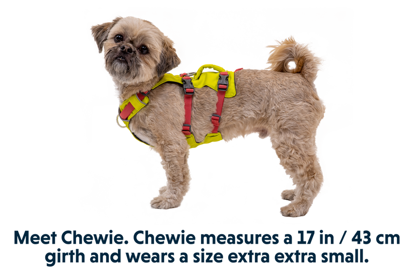 Ruffwear Flagline Harness, Lichen Green
