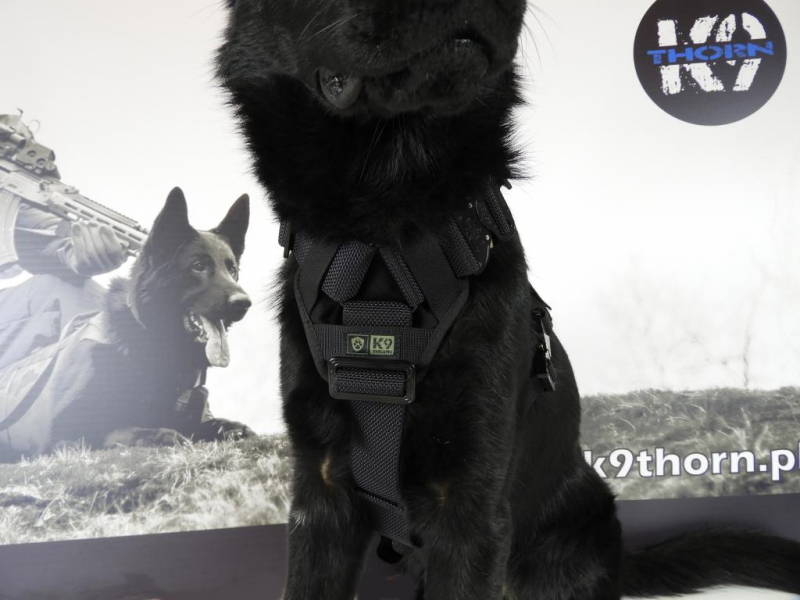 K9 Thorn Delta Harness