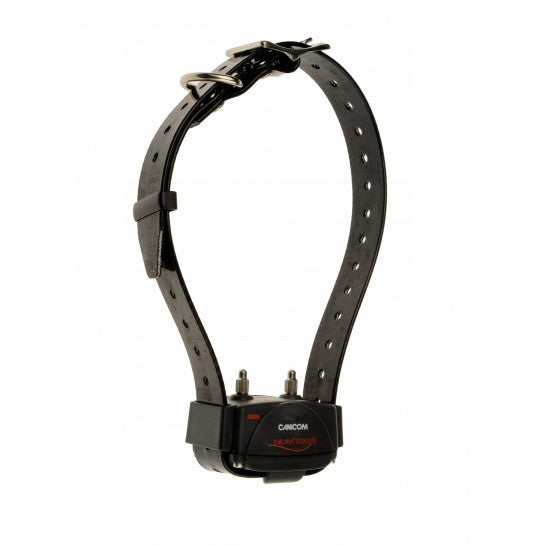 Numaxes Canicom 200 First Training Collar