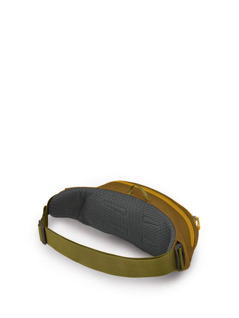 OSPREY Daylite Waist Pack, Meadow Gray/Histosol Brown