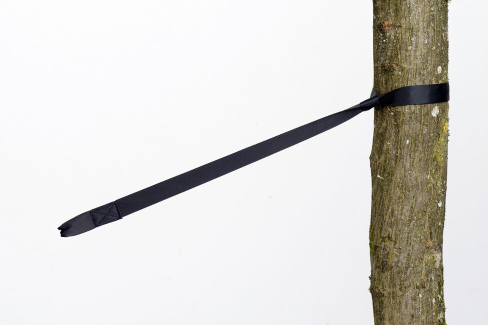 Amazonas Tree Hugger Tree Protection 2 Pieces