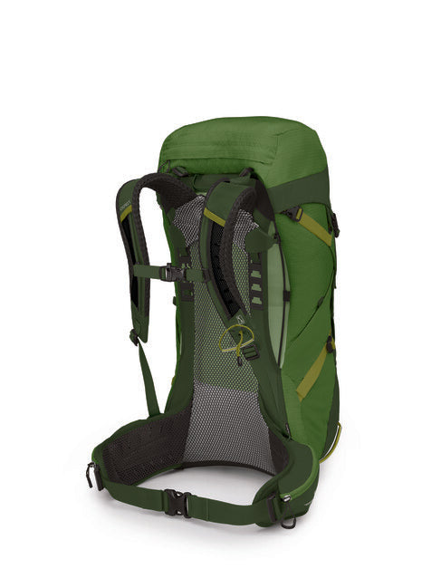 Osprey Stratos 36 Backpack, Seaweed/Matcha Green