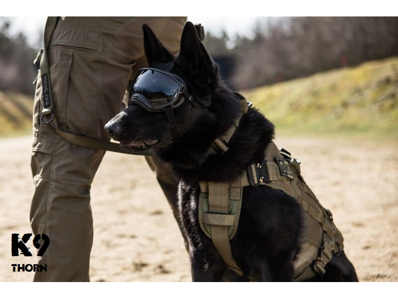 K9 Thorn Tactical Harness Light