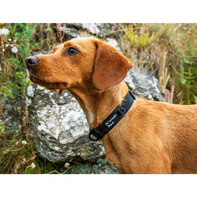 Mountain Paws Dog Collar, Black