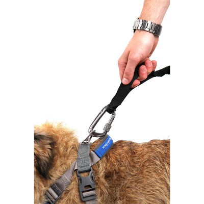 Mountain Paws Lead Paw Shock Absorber, Black