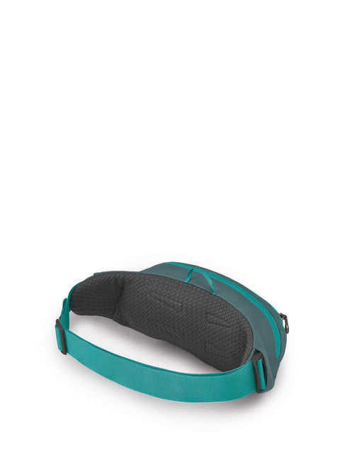 Osprey Daylite Waist Pack, Jetstream Blue/Cascade Blue