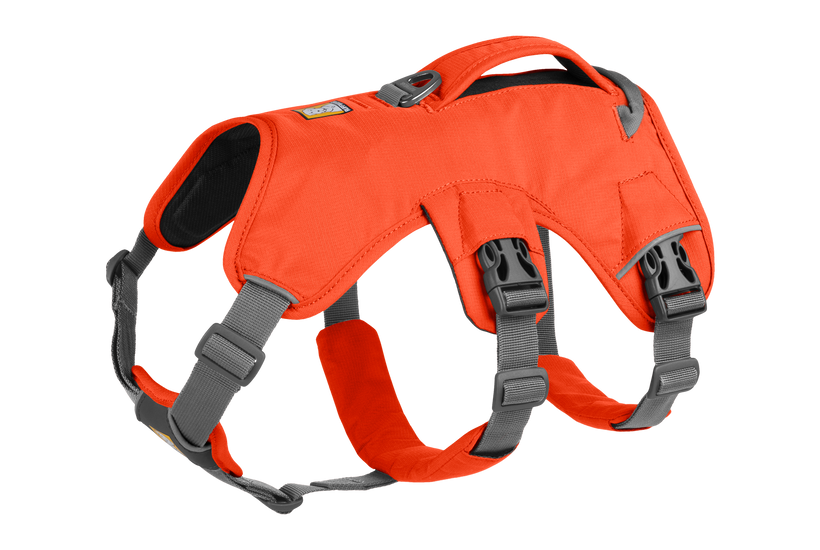Ruffwear Web Master Harness, Blaze Orange