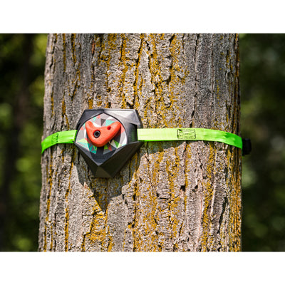 Slackers Ninja Treeclimbers Tree Climbing Set