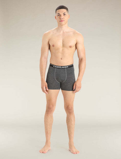 Icebreaker Men's Anatomica Boxers, Grey