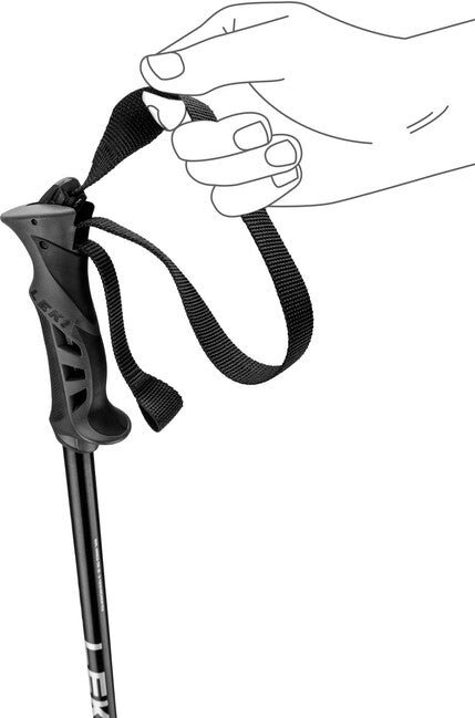 LEKI Rental Classic Ski Poles, Natural Anodized Silver/Black