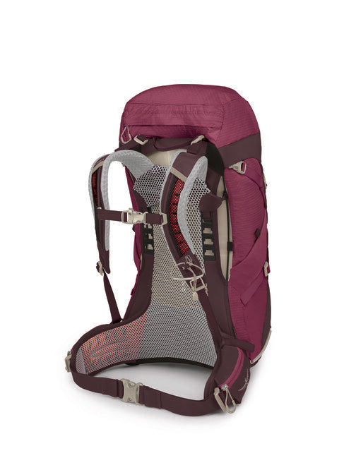 Osprey Sirrus 36 Backpack, Elderberry Purple/Chiru Tan
