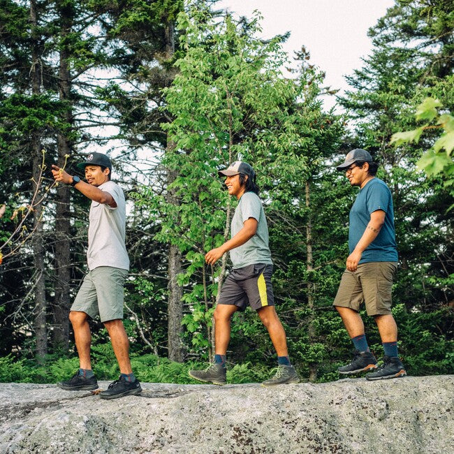 Darn Tough Light Hiker No Show Socks, Denim